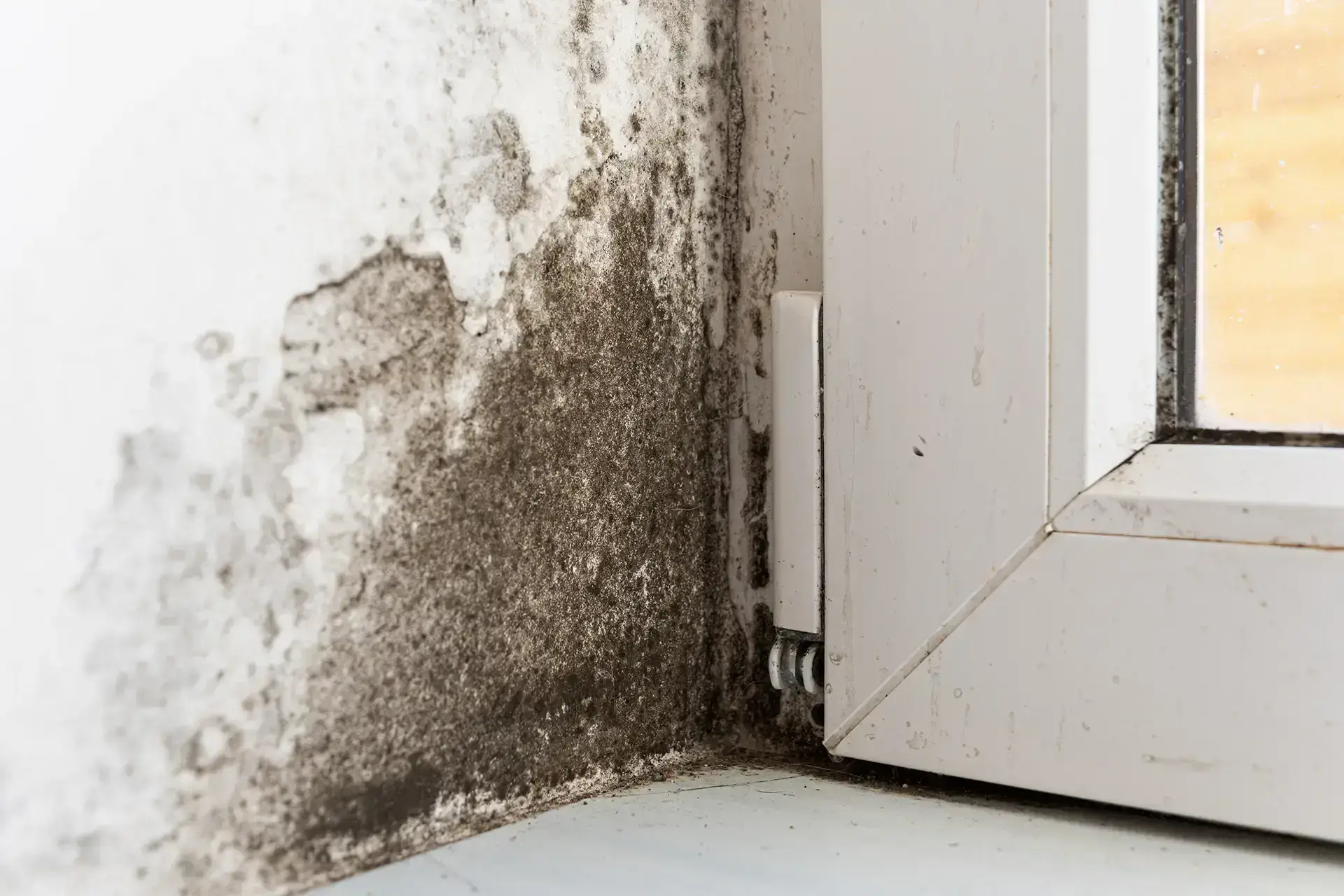 Leading Water Damage Restoration Company in Greenbay — Greenbay, WI